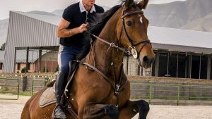 Cavalier au galop dans la campagne equestre