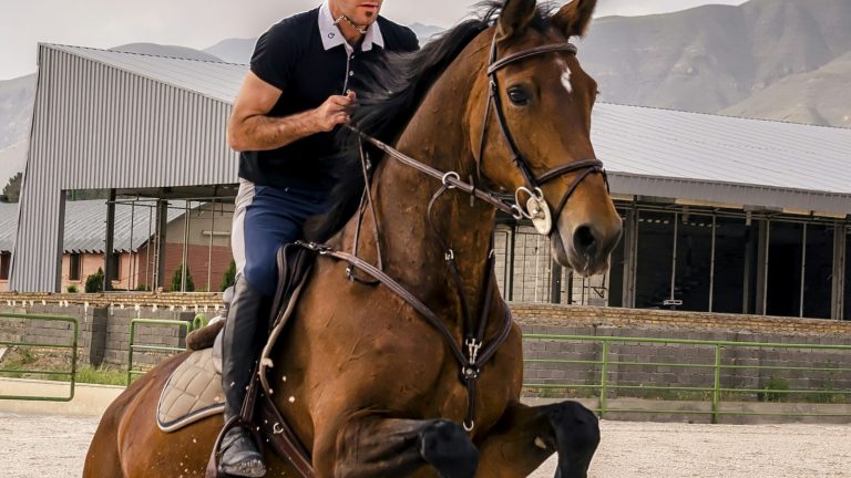 Cavalier au galop dans la campagne equestre