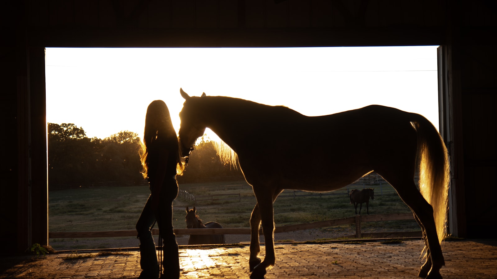 Femme aux côtés d'un cheval dans une écurie