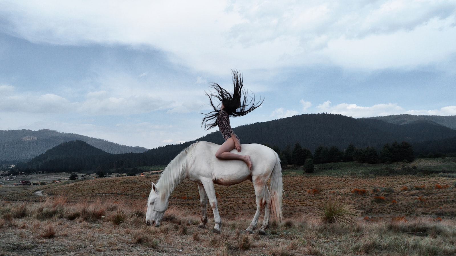 Jeune femme a cheval blanc en foret