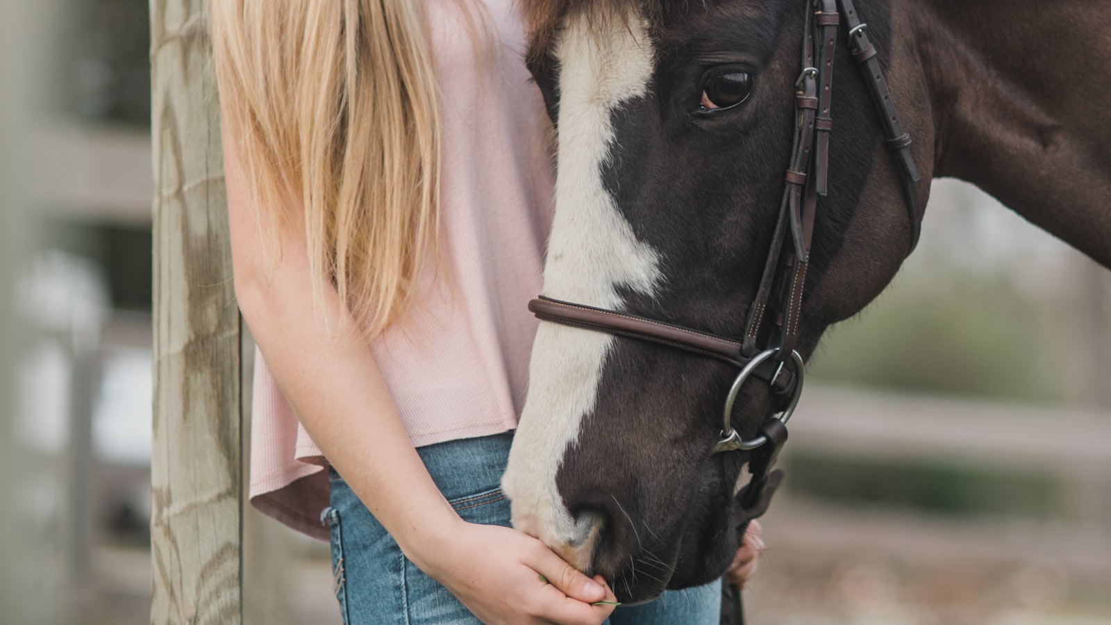 Femme aux cotes de son cheval gris