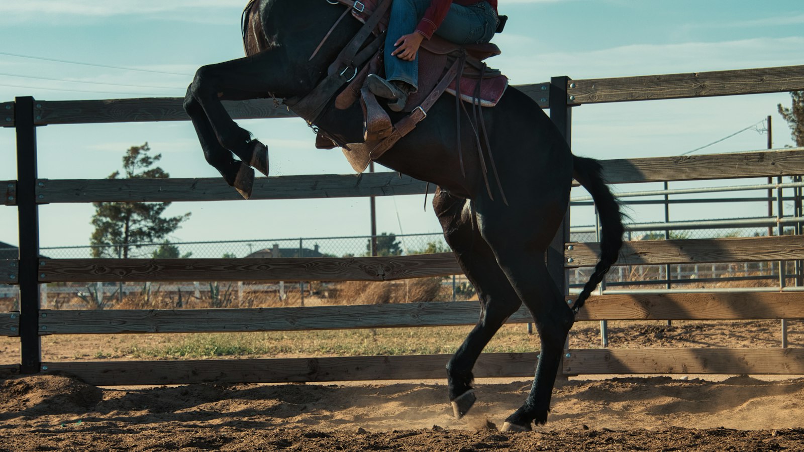 Cavalier et son cheval sur un parcours de concours