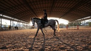 Cavalier montant dans un manège couvert en hiver